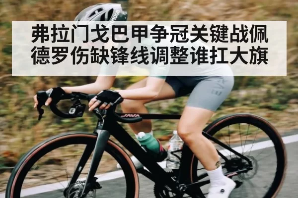 弗拉门戈巴甲争冠关键战佩德罗伤缺锋线调整谁扛大旗