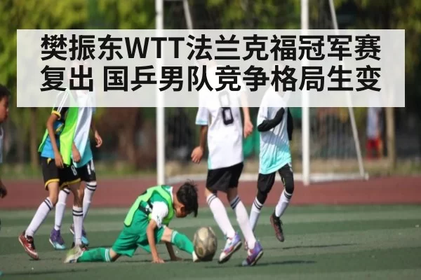 樊振东WTT法兰克福冠军赛复出 国乒男队竞争格局生变